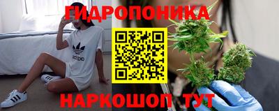 шишки Обнинск