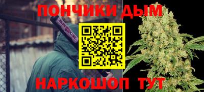 шишки Обнинск