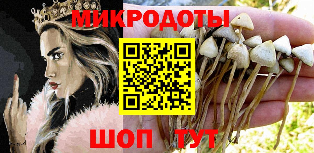 Галлюциногенные грибы прущие грибы Тихвин